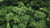Cyclosporiasis | Has it been found in Pennsylvania?