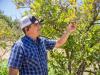 State funding gives California small farmers a reprieve after federal food program ends