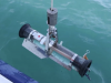 Agency: Black Sea water quality remains within normal limits
