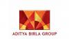 Aditya Birla Group acquires Sprng Energy in Rs 17,200 crore deal