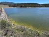 New Mexico environment department issues advisory, rolls out map for harmful algae on state lakes