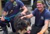 Maryland firefighters rescue 100-plus-pound dog from 17-foot well, reunite him with family