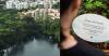 Singapore Botanic Gardens Opens Asia’s First Certified Nature Immersion Trail
