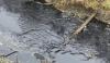 Oil pipeline's owner agrees to pay $26.9 million over Keystone spill in Kansas