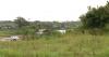 Houston police investigate report of body in Greens Bayou