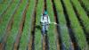 Prabowo: Many Farmers Now Vacationing Abroad