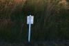 Lyme Disease-Carrying Ticks Have Spread Across Indiana, Illinois, and Ohio, and Now They Are in Suburban Parks and Backyards