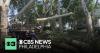 Cleanup continues after strong storm knocks down trees, destroys cars in West Philadelphia