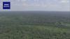 Climate change threatens 30% of plant species used by Indigenous Amazonian