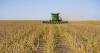 Oklahoma Voice: Uncertainty creeps in for Oklahoma’s agriculture industry after trade deal misses deadline