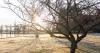 Kanga Cup highlights the vital role of sport in ACT tourism during the winter freeze