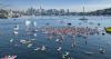 Seattle Paddle Rave returns to Lake Union this summer with EDM concerts