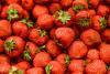 Alabama Public Health Warning For All Fruit Lovers