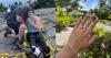 Injured hiker gets engaged after fall on New Hampshire mountain