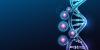 Genome-Scale CRISPRi Atlas Maps Gene Function Across Human iPSCs