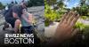 Injured hiker gets engaged during New Hampshire rescue