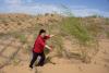 ‘Green Great Wall’ tames desert growth, but scientists warn the fight is not over 