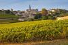 How Bordeaux Is Adapting Fine Wine For A Hotter Future