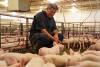 Pennsylvania Farm Bureau president resigns