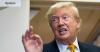 A church elder admiringly called Trump ‘an alley cat’. We are being dragged in a race to the bottom