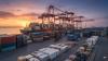 India notifies tariff quota rules under Oman trade pact for dates, marble and petrochemicals
