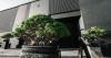 Bocasu review: Japanese shawarma and other fusion dishes in hip Dubai warehouse