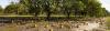 A New 4-H Resource for Florida Classrooms: A Land Remembered