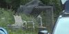 Kentucky couple charged with criminal abuse after children, animals found in deplorable conditions