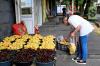 Armenian apricots become geopolitical battleground with Russia