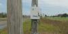 Environmental experts raise the alarm after Dominion sprays plants with herbicide