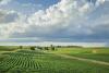 Conservation Leaders Look to Congress for Help with Forests, Small Farms