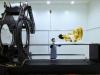National Museum of Korea Installs World's Largest Cylindrical CT to Analyze Artifacts