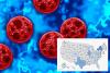 ‘Explosive diarrhea’ parasite invades Long Island as separate bacteria outbreak sickens dozens after music festival