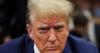 WAYNE ROOT: President Trump, Here’s The Idea That Wins Midterms, Booms the Economy, Explodes Real Estate, Destroys the Democrat Party Forever- and Allows Millions of Americans to Escape Blue States.