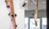 Seaside town plagued by 'biblical' plague of flies: Swarms of 'disgusting' insects invade homes and businesses in heatwave as residents blame nearby recycling centre