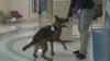 FMOL Health welcomes pair of K-9 officers to security team
