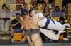 Foreign tourists sell out Tokyo sumo show offering glimpse into wrestlers' world
