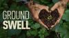 'Groundswell' regenerative rancher urges consumers to rethink where food comes from: doc