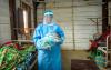 Maternal mortality doubles in Ebola outbreak zone as mothers avoid hospitals