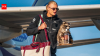 Watch: Haaland arrives home carrying a 'Raccoon', breaks silence on companion