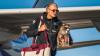 Erling Haaland returns with Rs 72,000 ‘Whiskey Raccoon’: ‘It followed me home’