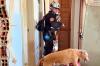 Florida Task Force One conducts search operations in Venezuela