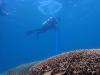 Zambales creates two protected marine areas to boost biodiversity