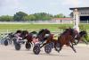 Oak Grove Racing Wraps Up Record-Breaking 2026 Season with Kentucky Sire Stakes Finals
