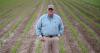 Corn tassels amid rain while disease pressure rises
