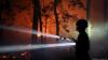 France arrests arson suspects amid Fontainebleau forest fire