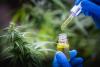 Nine out of 10 elderly dementia sufferers become less agitated after marijuana treatment, study finds