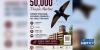 Texas A&M hosting free purple martin watch party July 22 as 50,000 birds roost on campus
