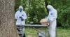 Poland uses DNA testing to identify victims of WWII Ukrainian massacres for first time