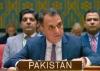 Pakistan Reaffirms Support for Saudi Arabia at UN